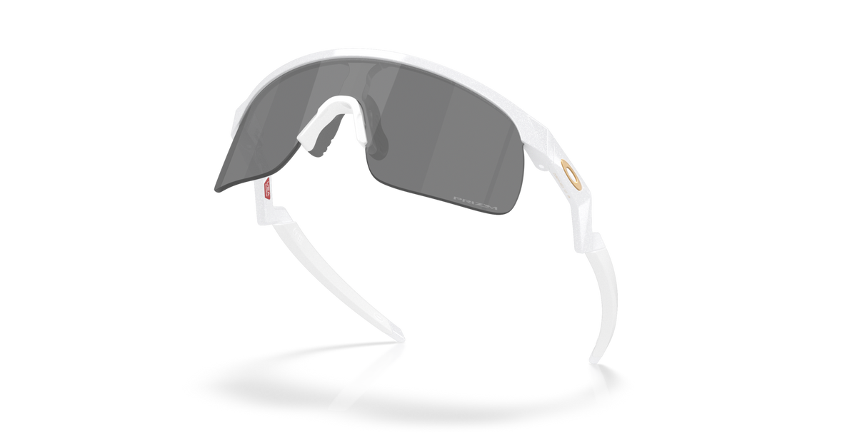 Oakley Resistor Sunglasses-5