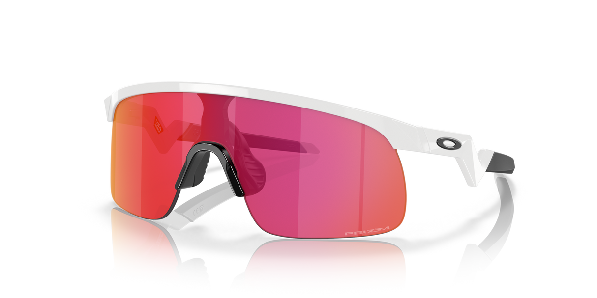 Oakley Resistor Sunglasses-2