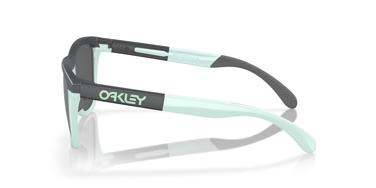 Oakley Frogskins Range Glasses-3