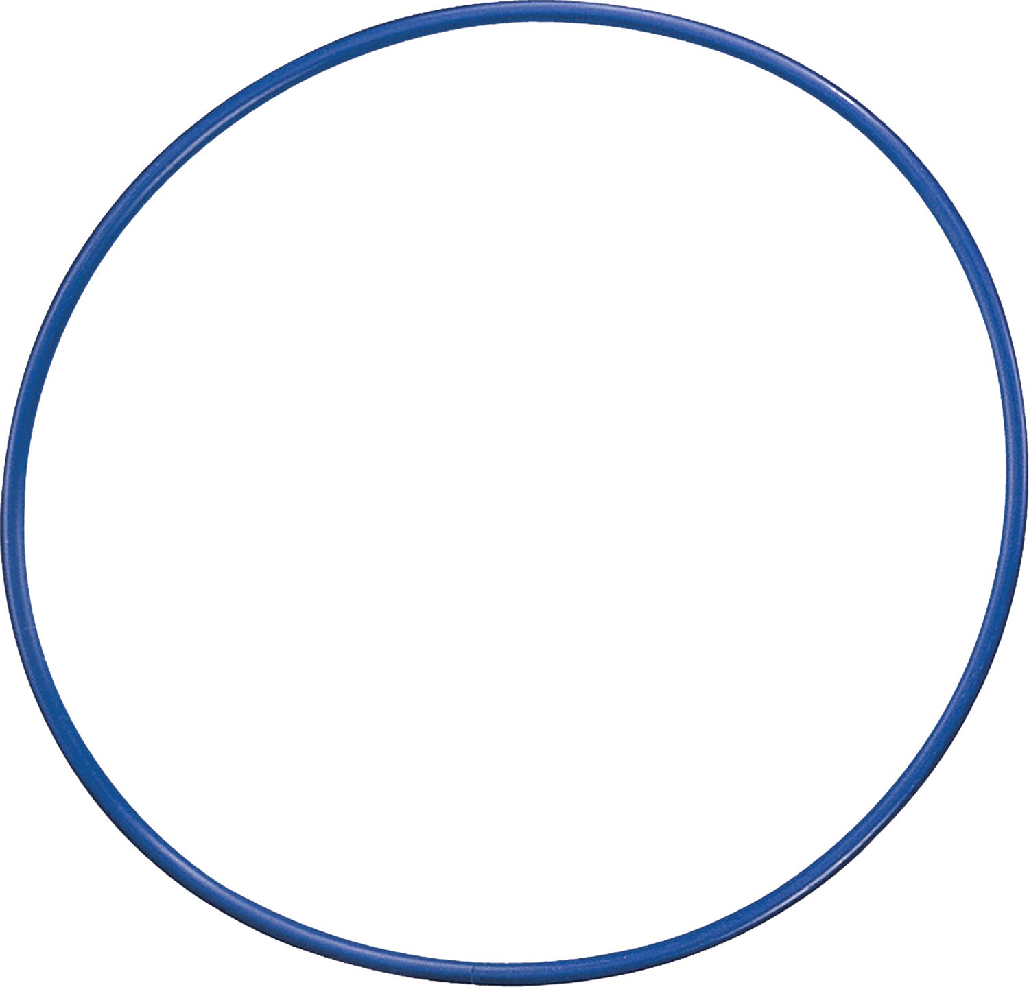 Champion Sports 24 Inch Plastic Hoops Sports Equipment All