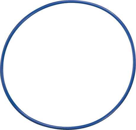 Champion Sports 24 Inch Plastic Hoops Sports Equipment All