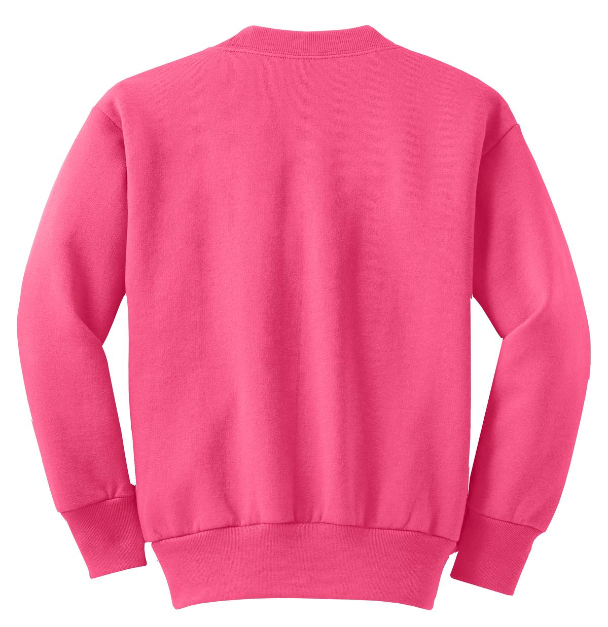 Port & Company - Youth Core Fleece Crewneck Sweatshirt Youth Apparel Hoodies & Sweatshirts
