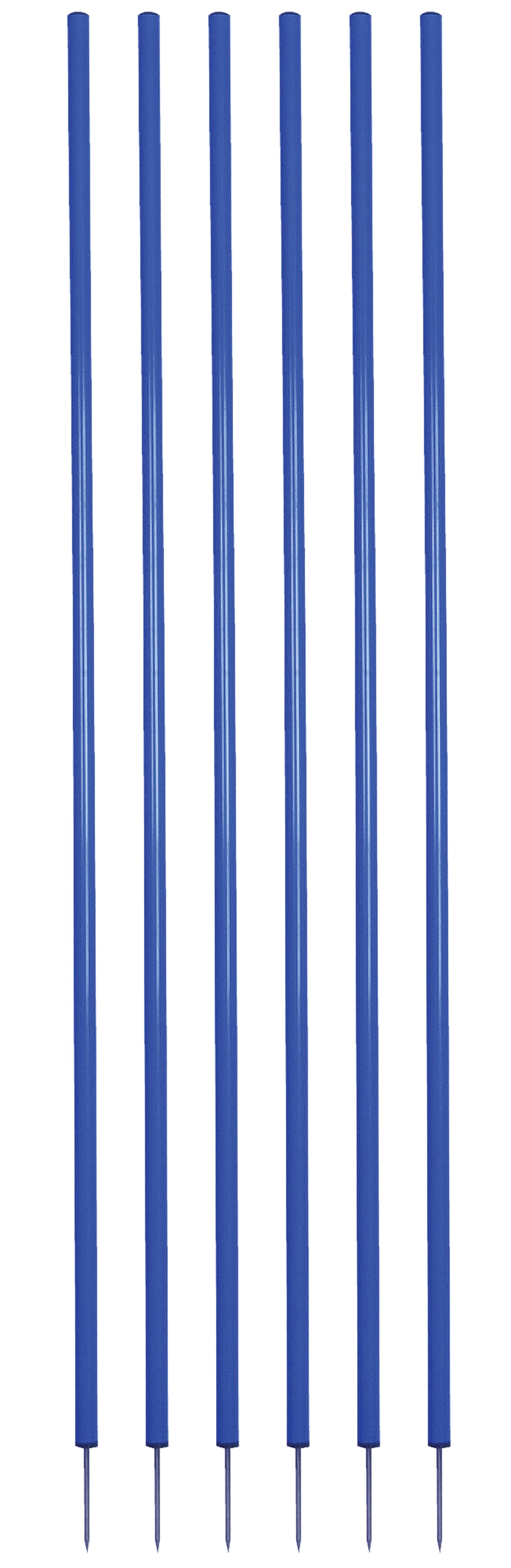 Champion Sports Coaching Sticks Set of 6 Track & Field Field Equipment All