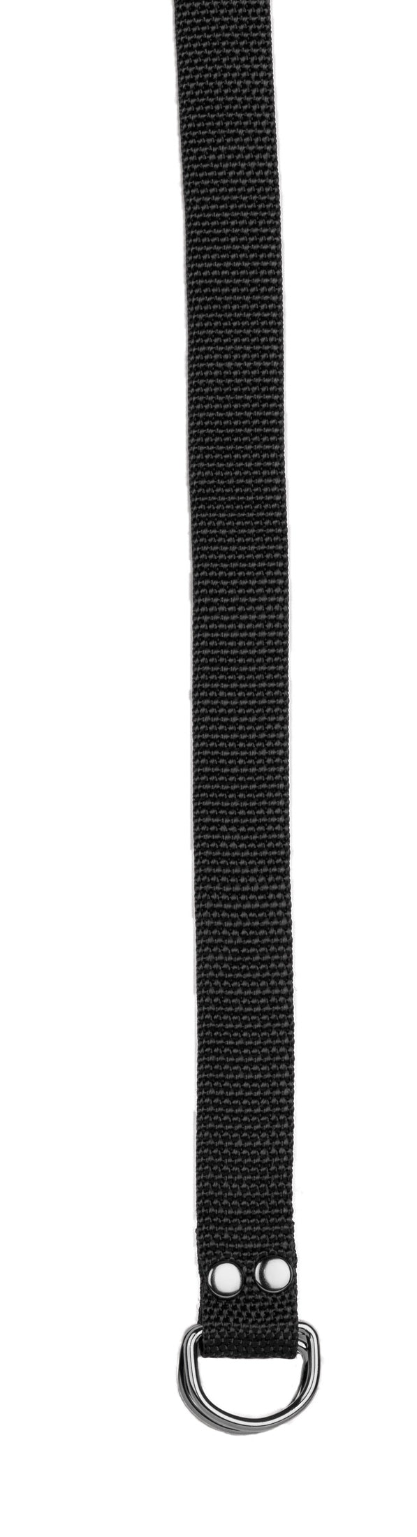 Champion Sports Football Belt Football Accessories & Bags All