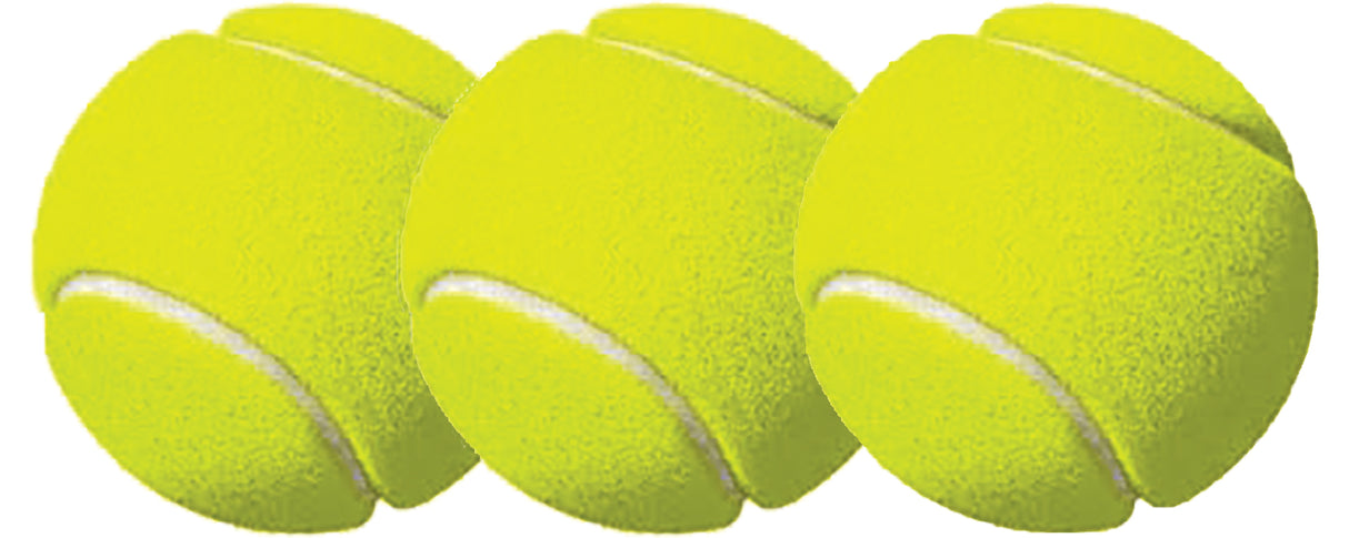 Champion Sports Tennis Ball Pack of 3 Tennis & Racquet Balls All