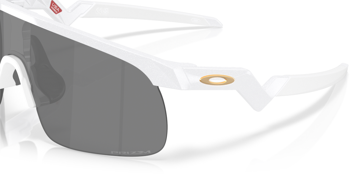 Oakley Resistor Sunglasses-6