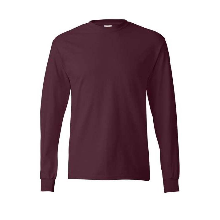 Hanes Men's Authentic 100% Cotton Long Sleeve T-Shirt 5586-1