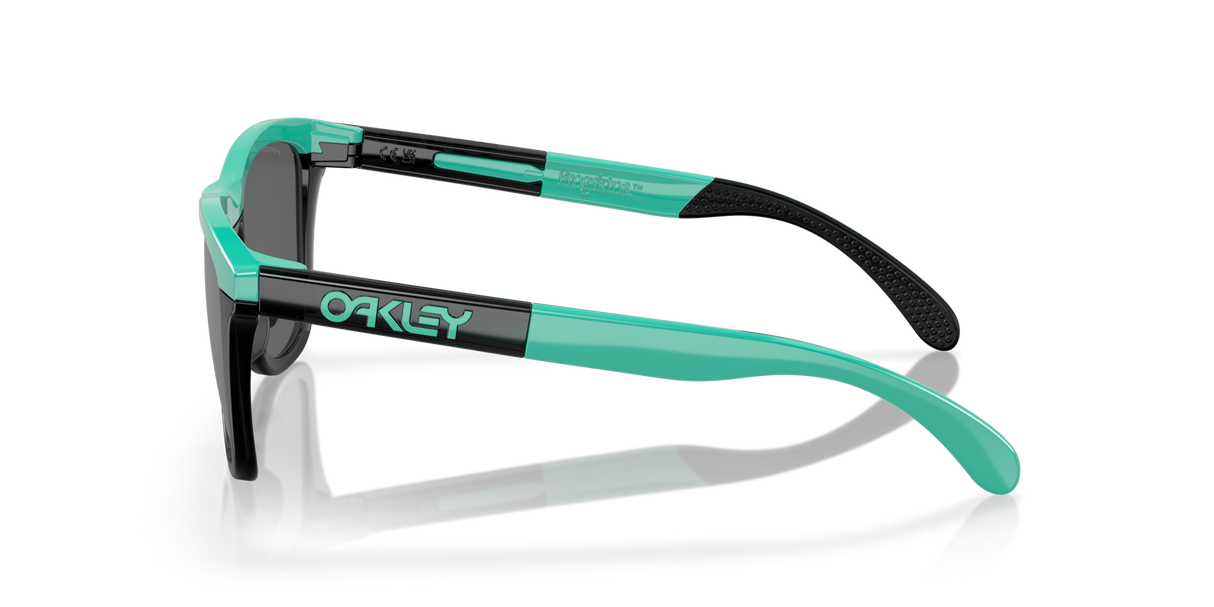 Oakley Frogskins Range Glasses-3