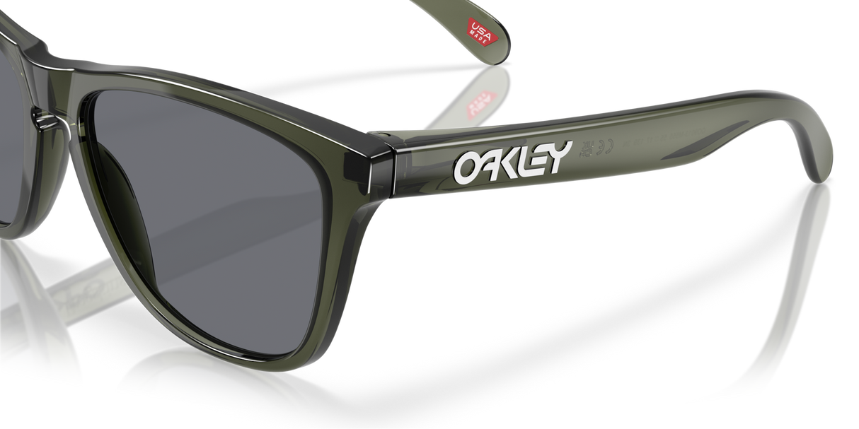 Oakley Frogskins Glasses-6