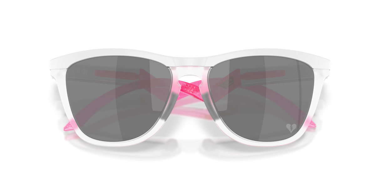Oakley Frogskins Hybrid Glasses-9