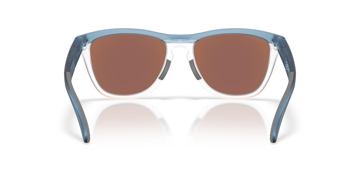 Oakley Frogskins Range XL Glasses-4