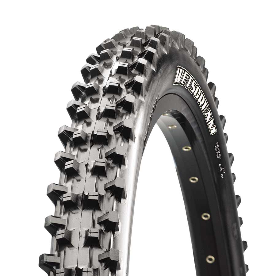 Maxxis Wetscream Mountain Tire