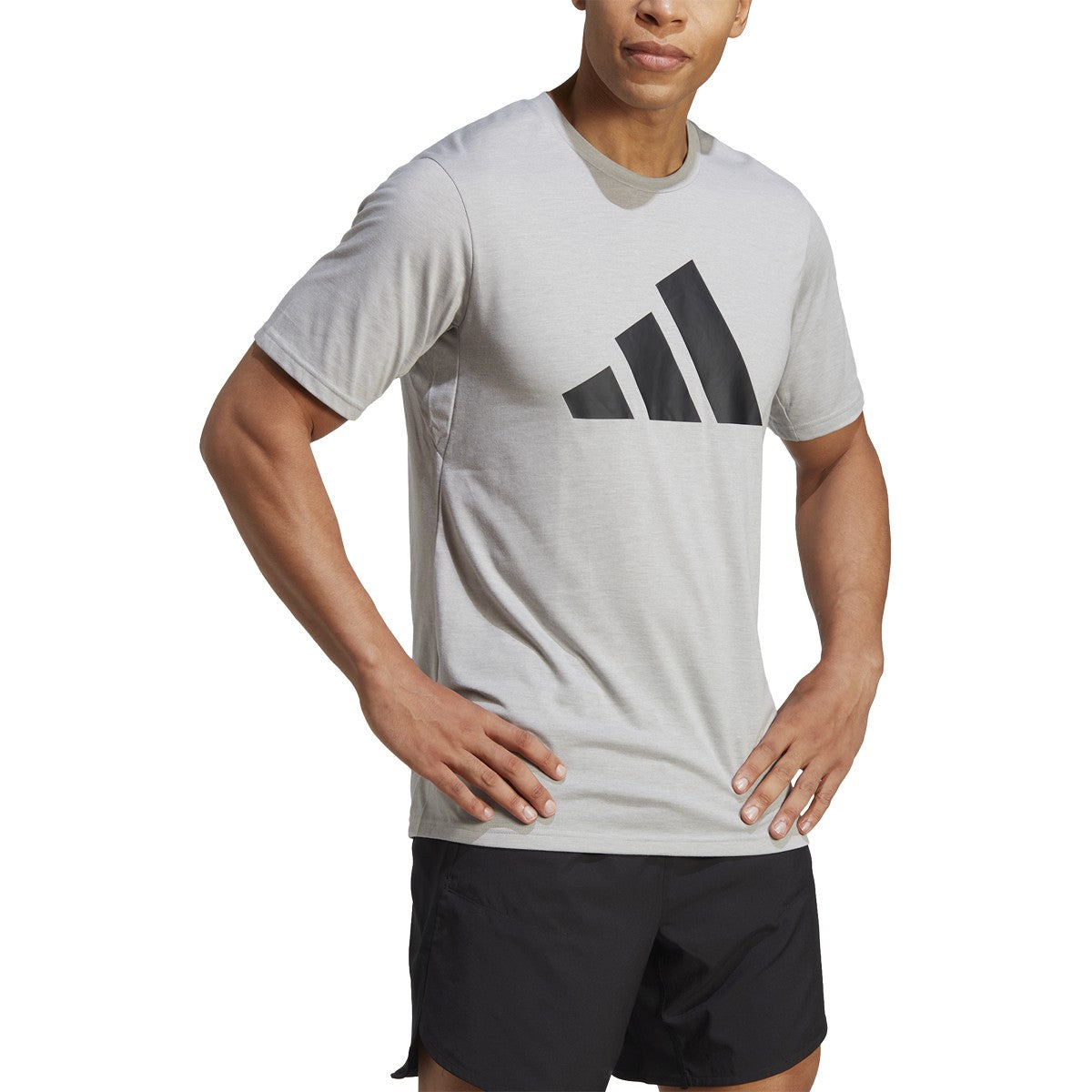 adidas Men's Train Essentials Feelready Logo Training T-Shirt Mens Apparel Shirts & Tops