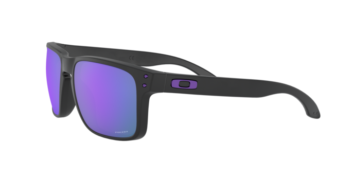 Oakley Holbrook Glasses-6