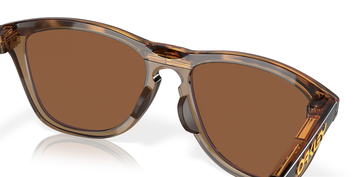 Oakley Frogskins Range Glasses-7