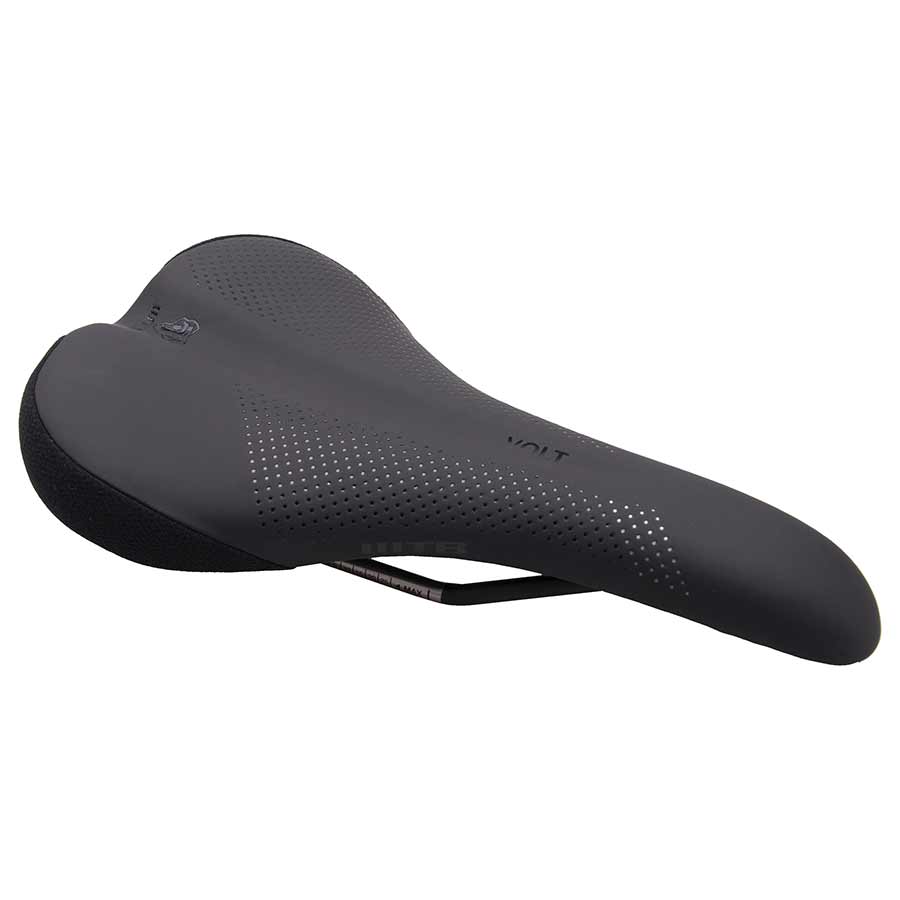 WTB VOLT TITANIUM Saddle-1