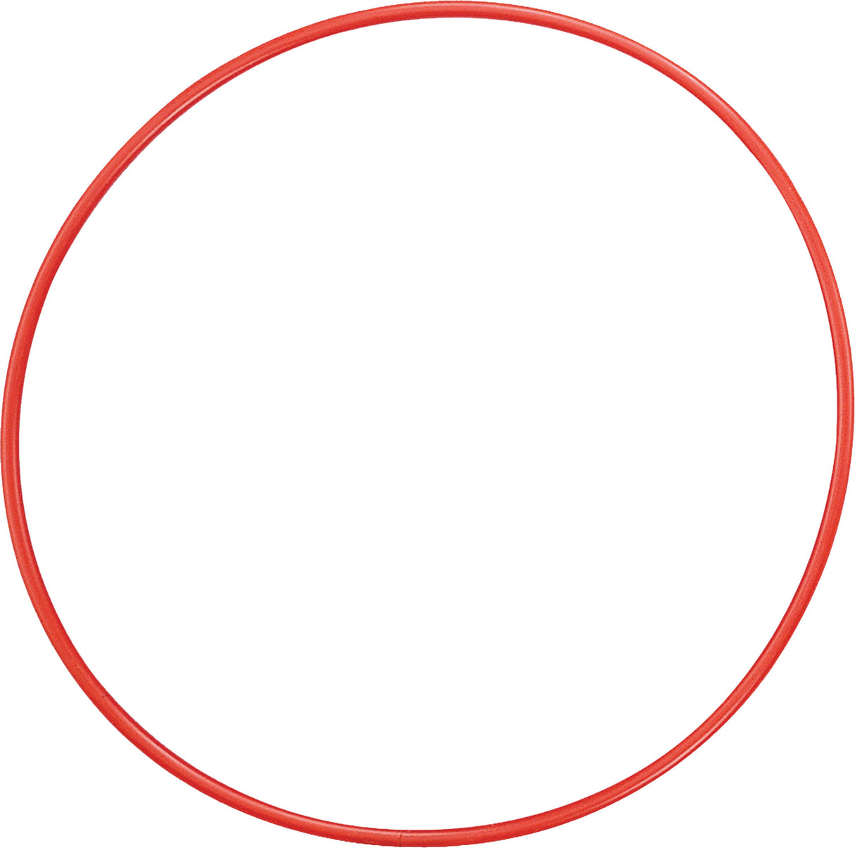 Champion Sports 24 Inch Plastic Hoops Sports Equipment All