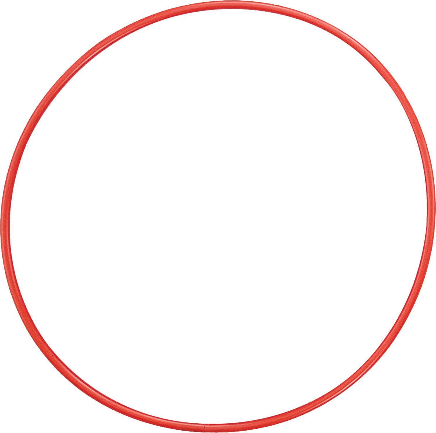 Champion Sports 24 Inch Plastic Hoops Sports Equipment All