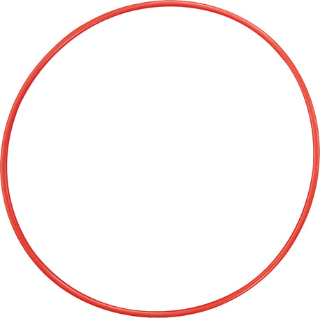 Champion Sports 24 Inch Plastic Hoops Sports Equipment All