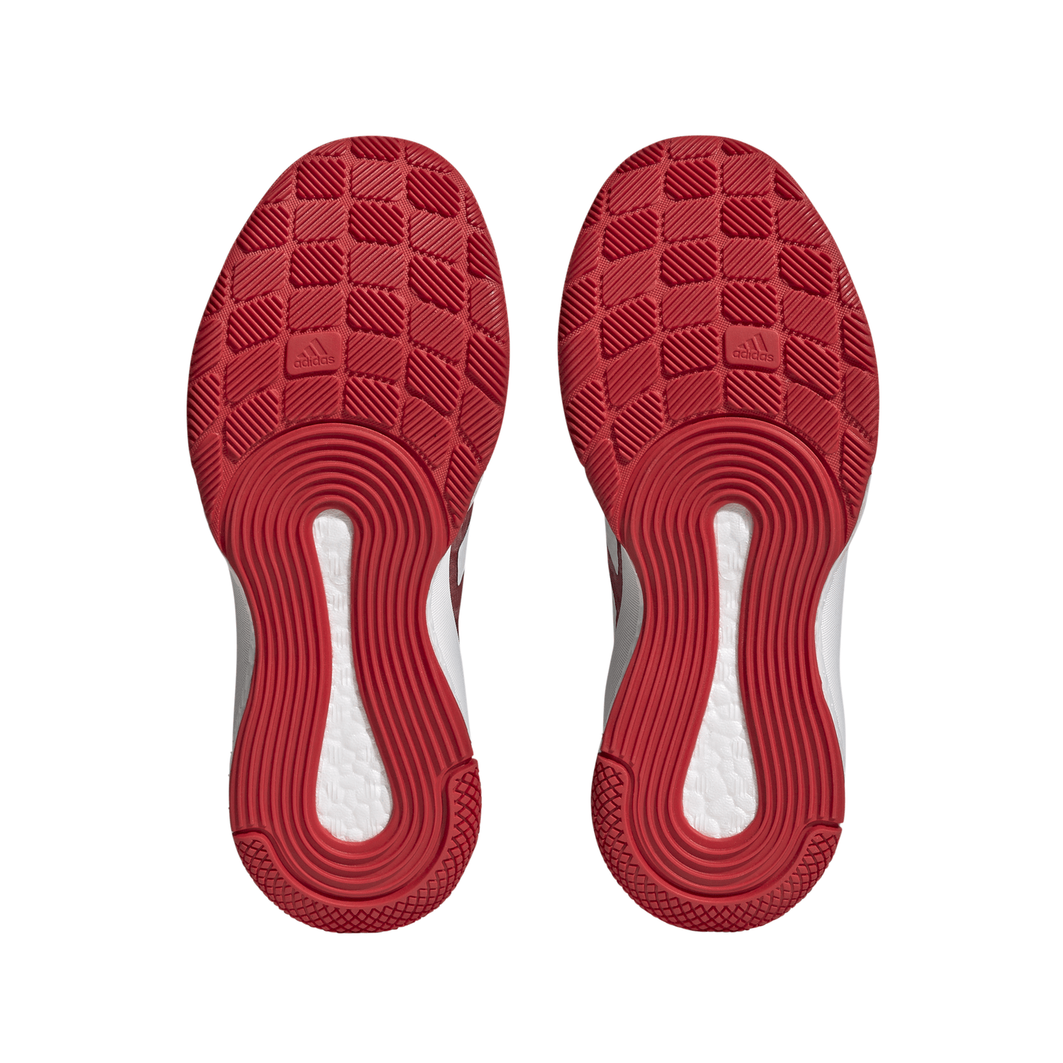 adidas Women's Crazyflight Indoor Volleyball Shoes