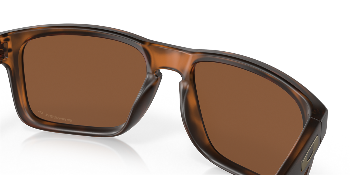 Oakley Holbrook Glasses-11