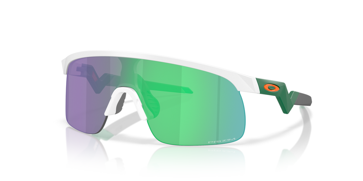 Oakley Resistor Sunglasses-2