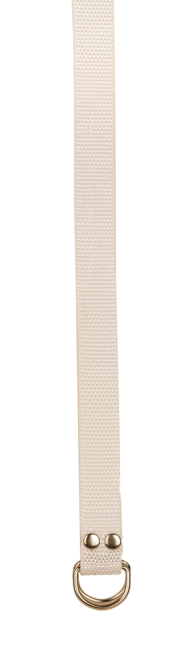 Champion Sports Football Belt Football Accessories & Bags All