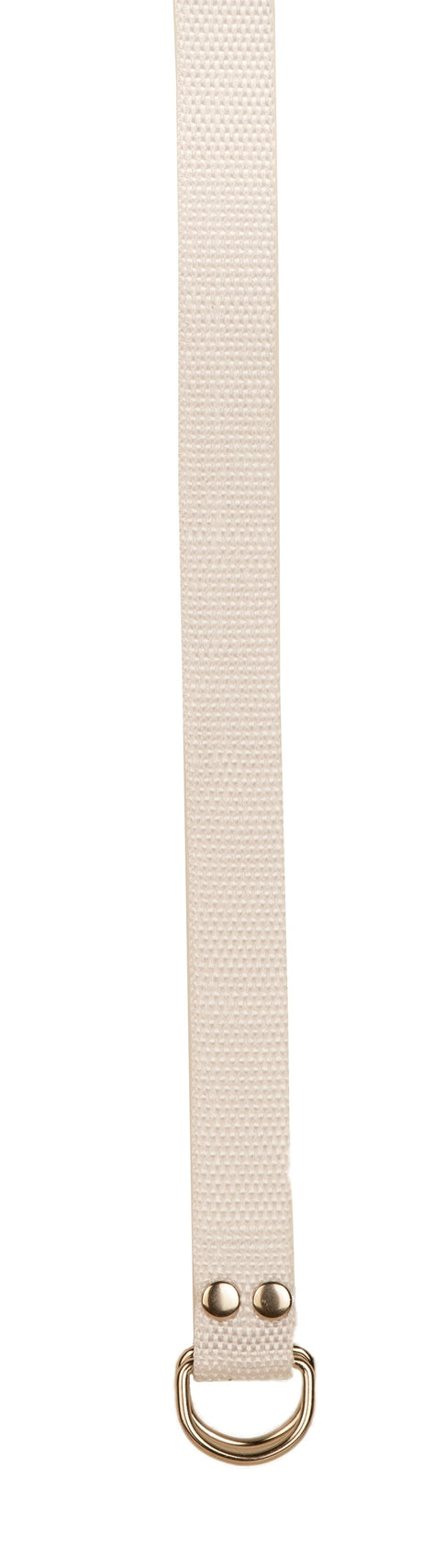 Champion Sports Football Belt Football Accessories & Bags All