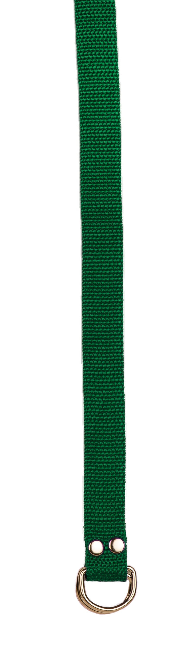 Champion Sports Football Belt Football Accessories & Bags All