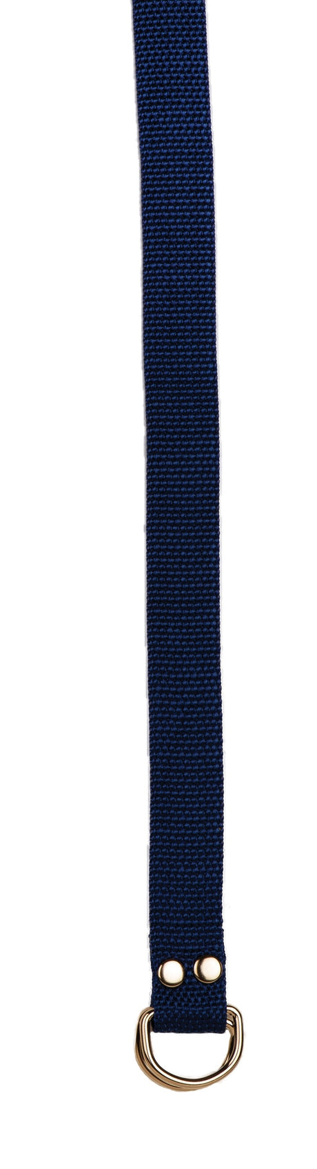 Champion Sports Football Belt Football Accessories & Bags All