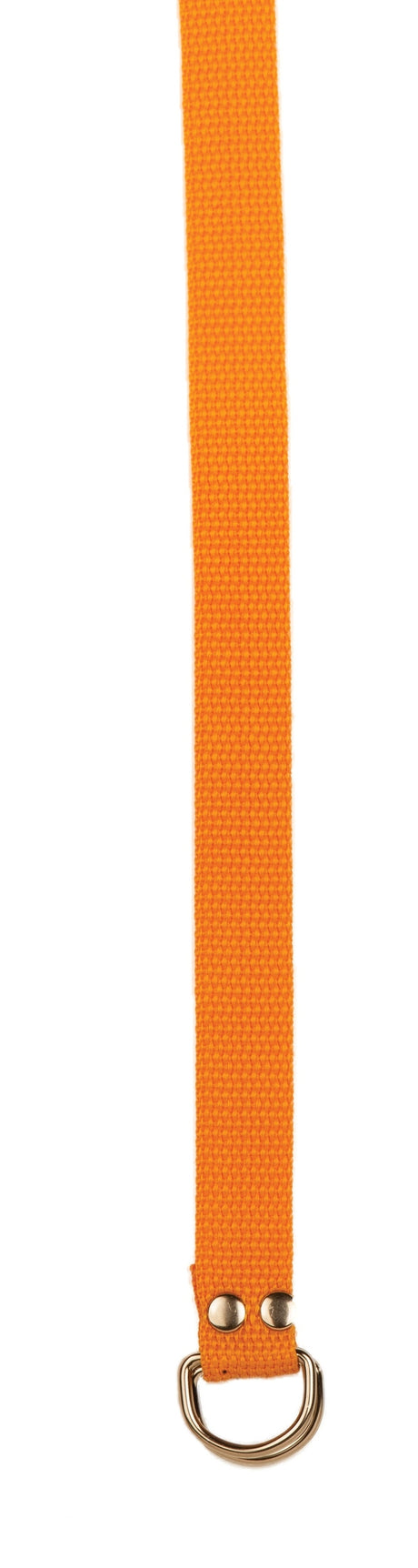 Champion Sports Football Belt Football Accessories & Bags All