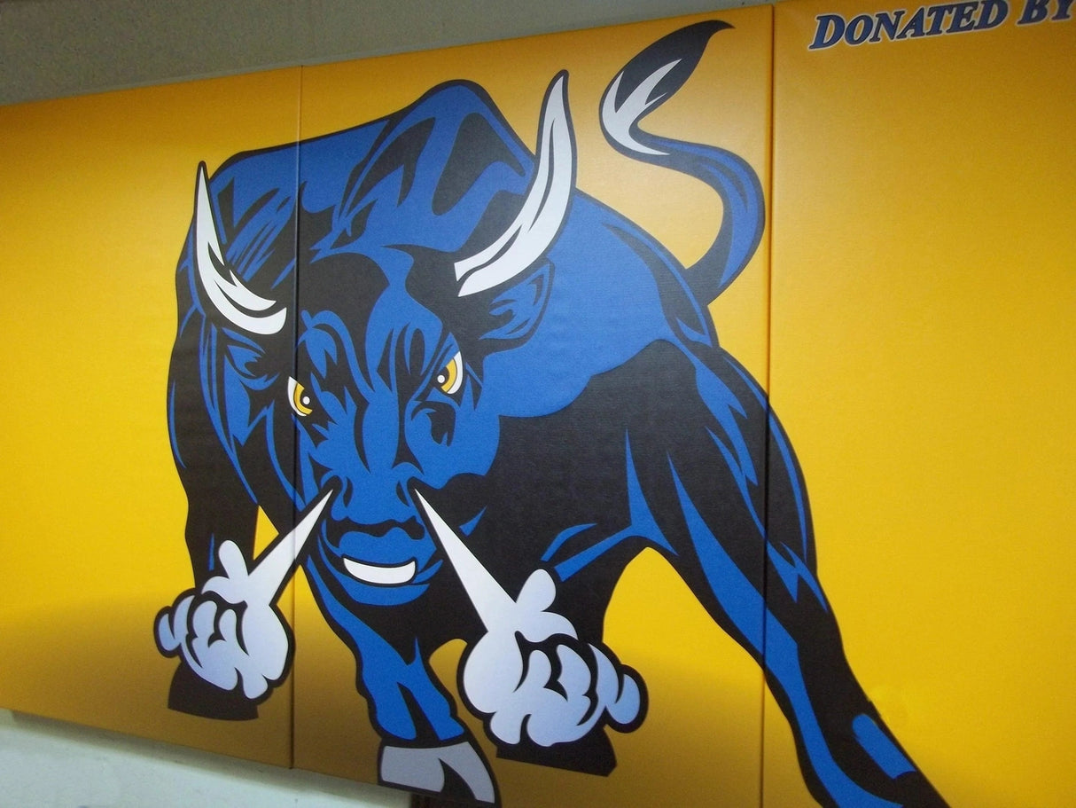 Bison Protector™ Custom Graphic Indoor Wall Padding Sports Field Equipment All