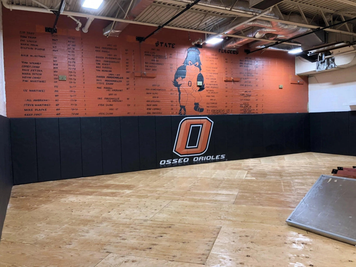 Bison Protector™ Custom Graphic Indoor Wall Padding Sports Field Equipment All