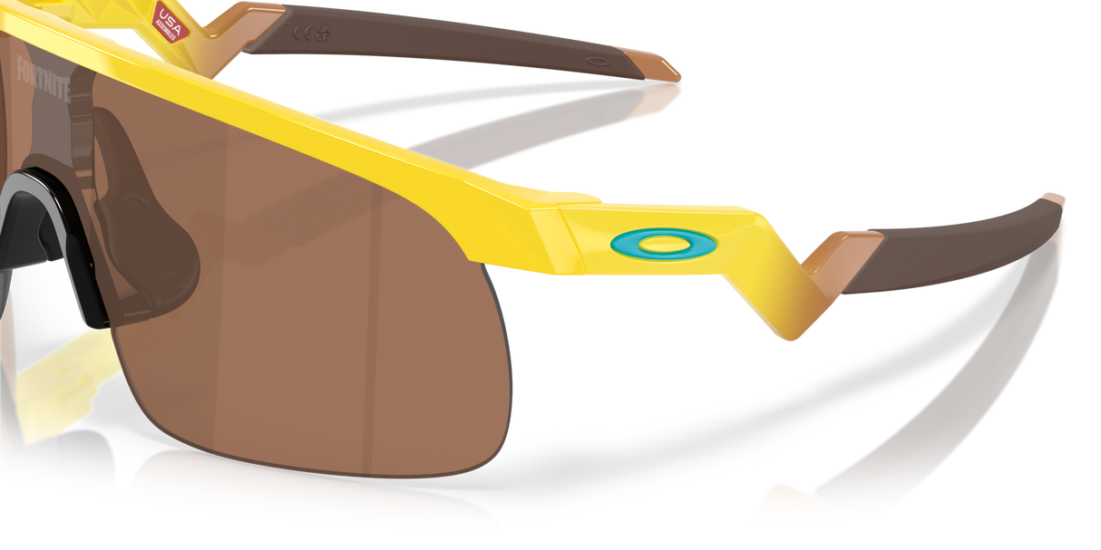 Oakley Resistor Sunglasses-6