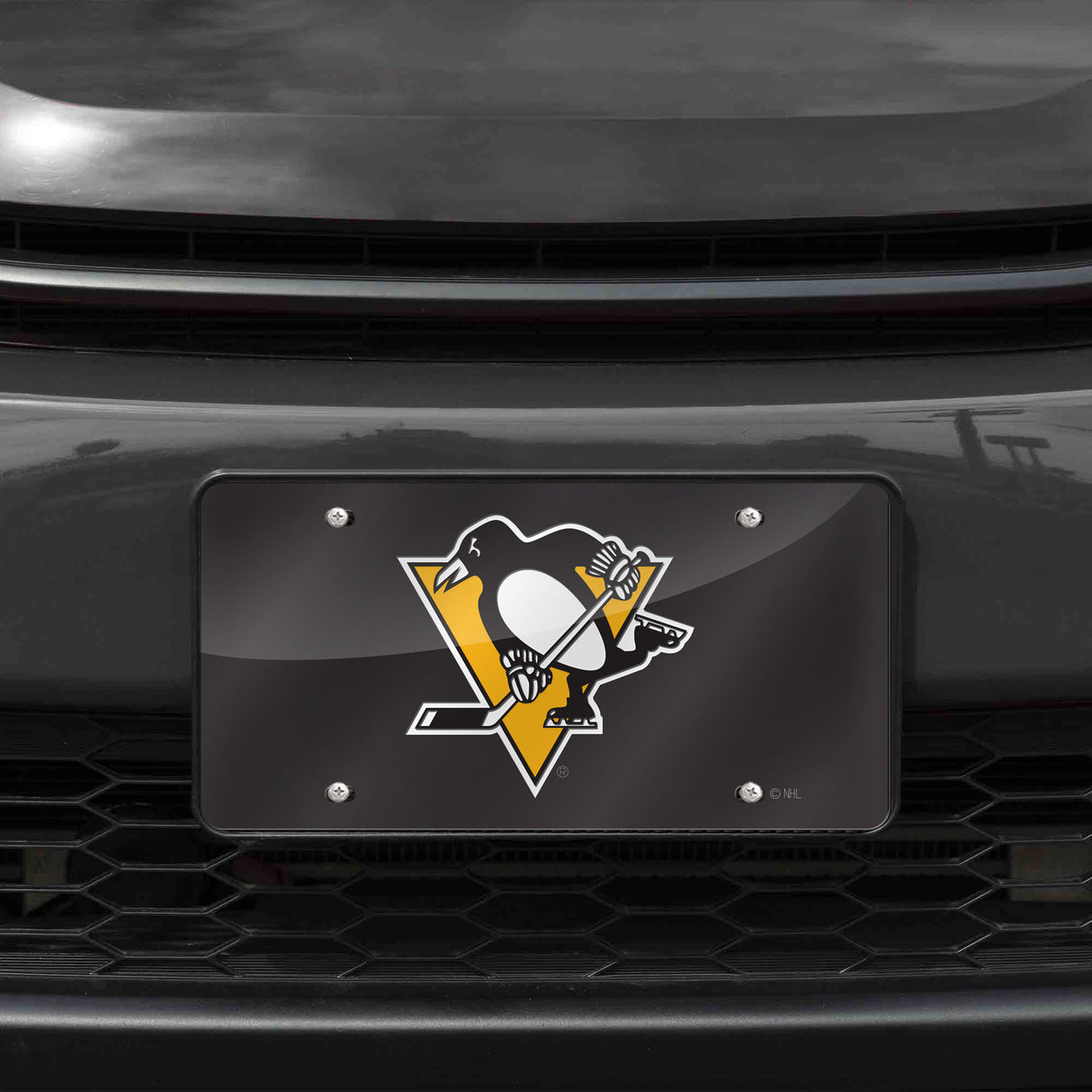 NHL Pittsburgh Penguins Laser Cut Automobile Tag Fan Gear NHL Pittsburgh Penguins