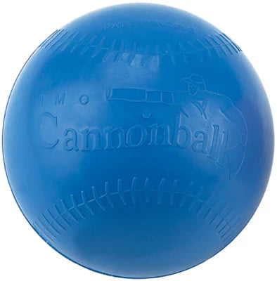 Cannonball Weighted Training Ball Exercise & Wellness Gym Equipment