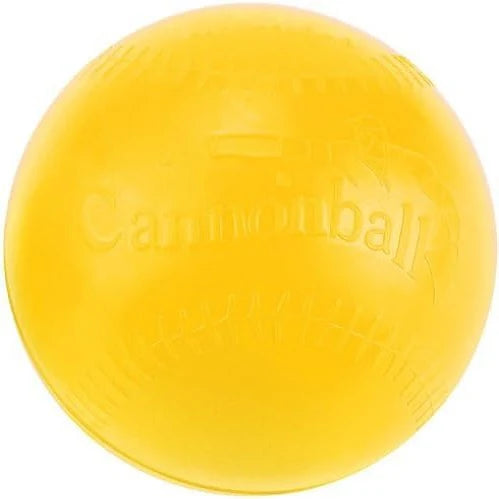 Cannonball Weighted Training Ball Exercise & Wellness Gym Equipment