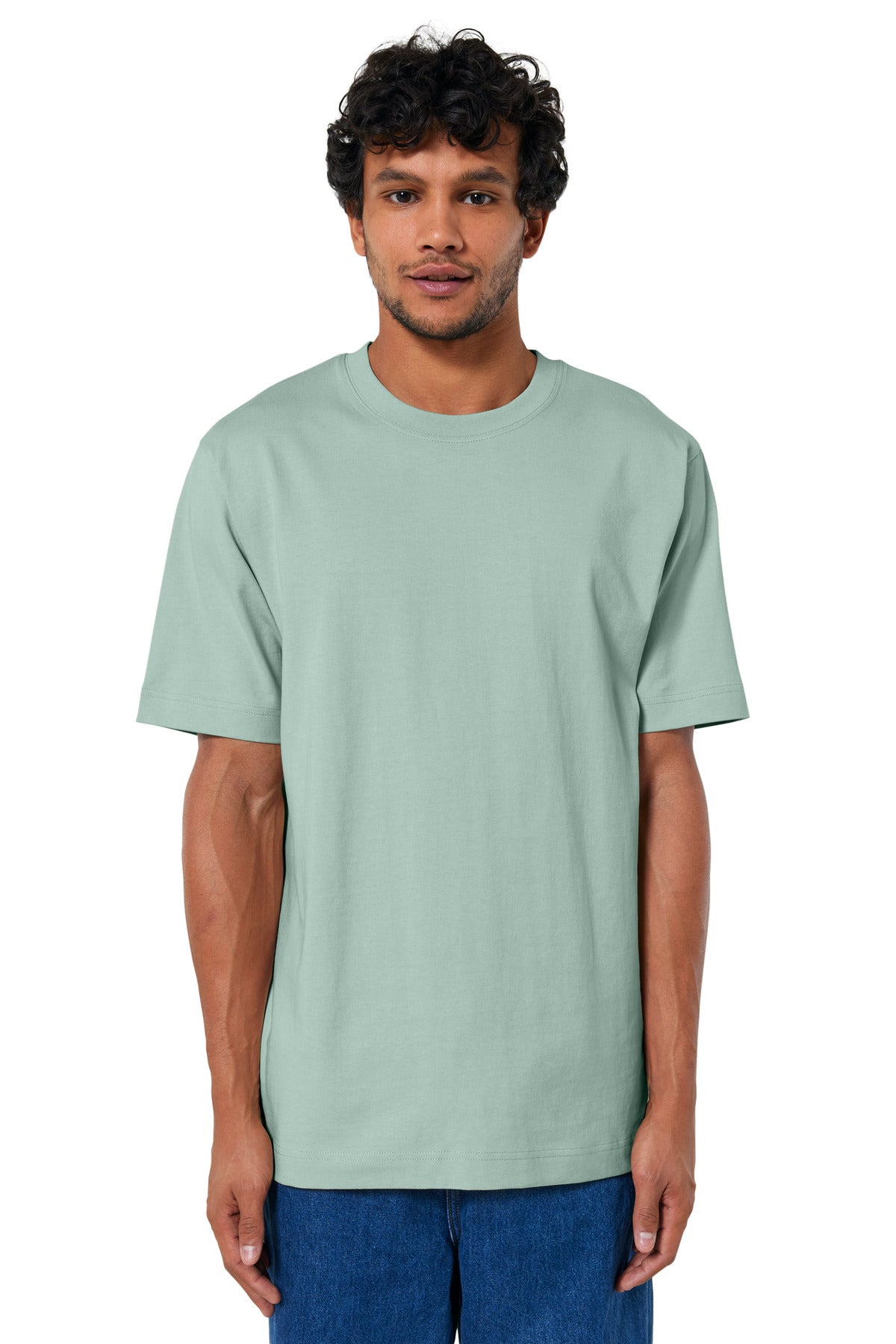 Stanley/Stella Men's Freestyler Heavyweight Tee SXU018