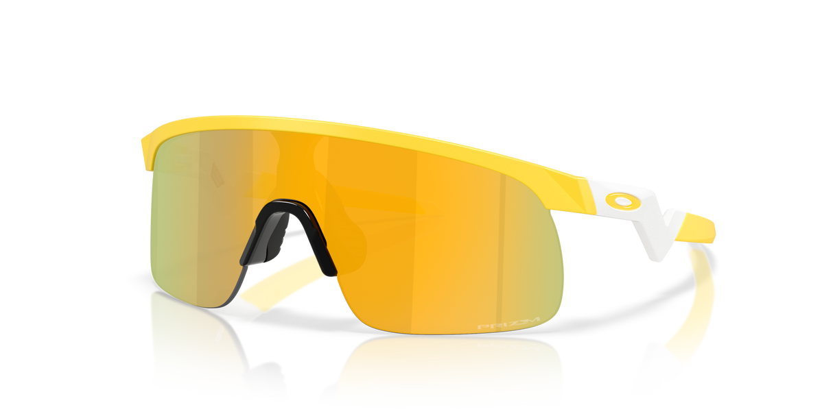 Oakley Resistor Sunglasses-2