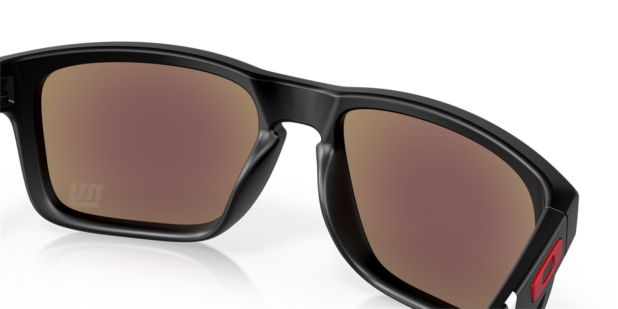 Oakley Holbrook NFL Glasses-10