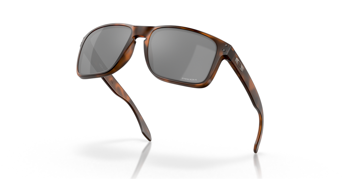 Oakley Holbrook XL Glasses-9