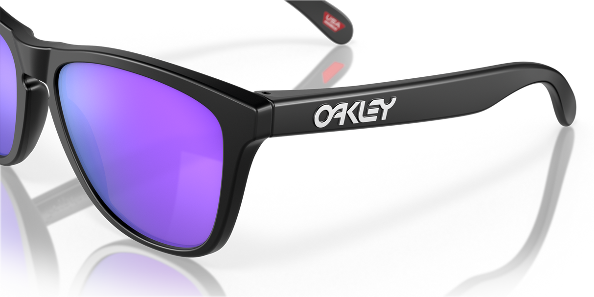 Oakley Frogskins Glasses-10