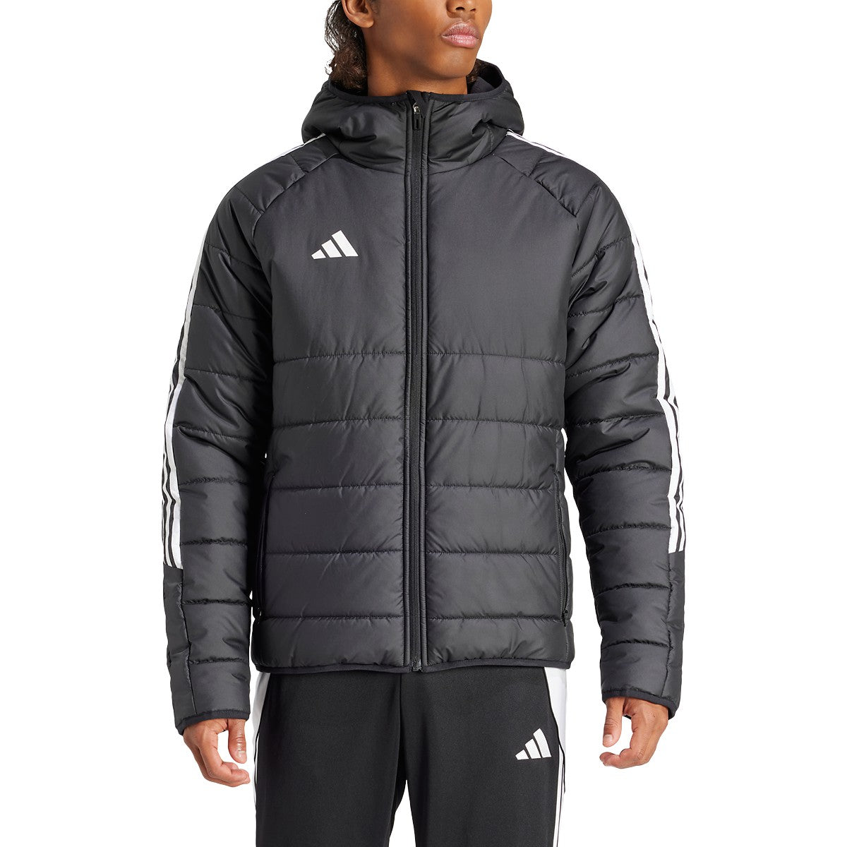 adidas Men's Tiro 24 Winter Soccer Jacket Soccer Uniforms & Apparel All
