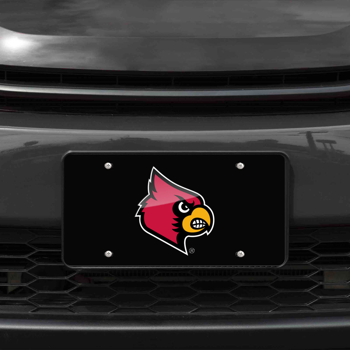 NCAA Louisville Cardinals Laser Cut Automobile Tag Fan Gear NCAA Louisville Cardinals