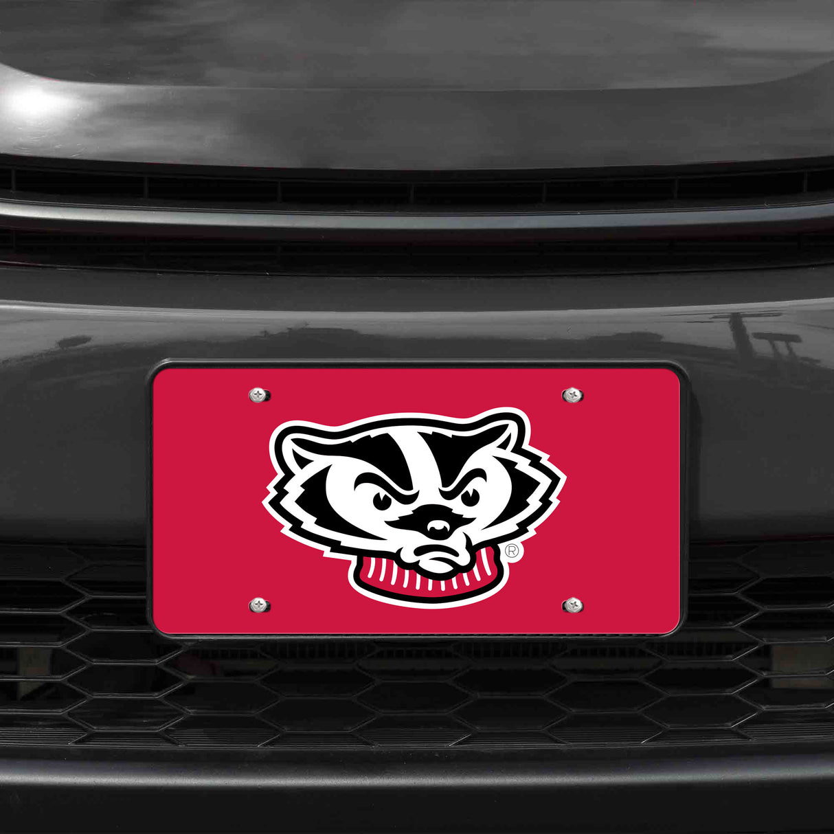 NCAA Wisconsin Badgers Laser Cut Automobile Tag Fan Gear NCAA Wisconsin Badgers