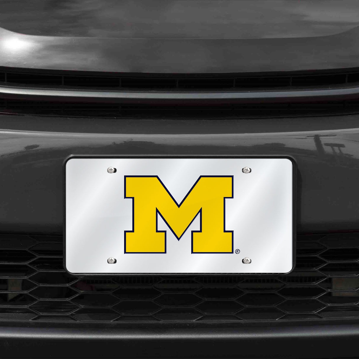 NCAA Michigan Wolverines Silver Laser Cut Automobile Tag Fan Gear NCAA Michigan Wolverines