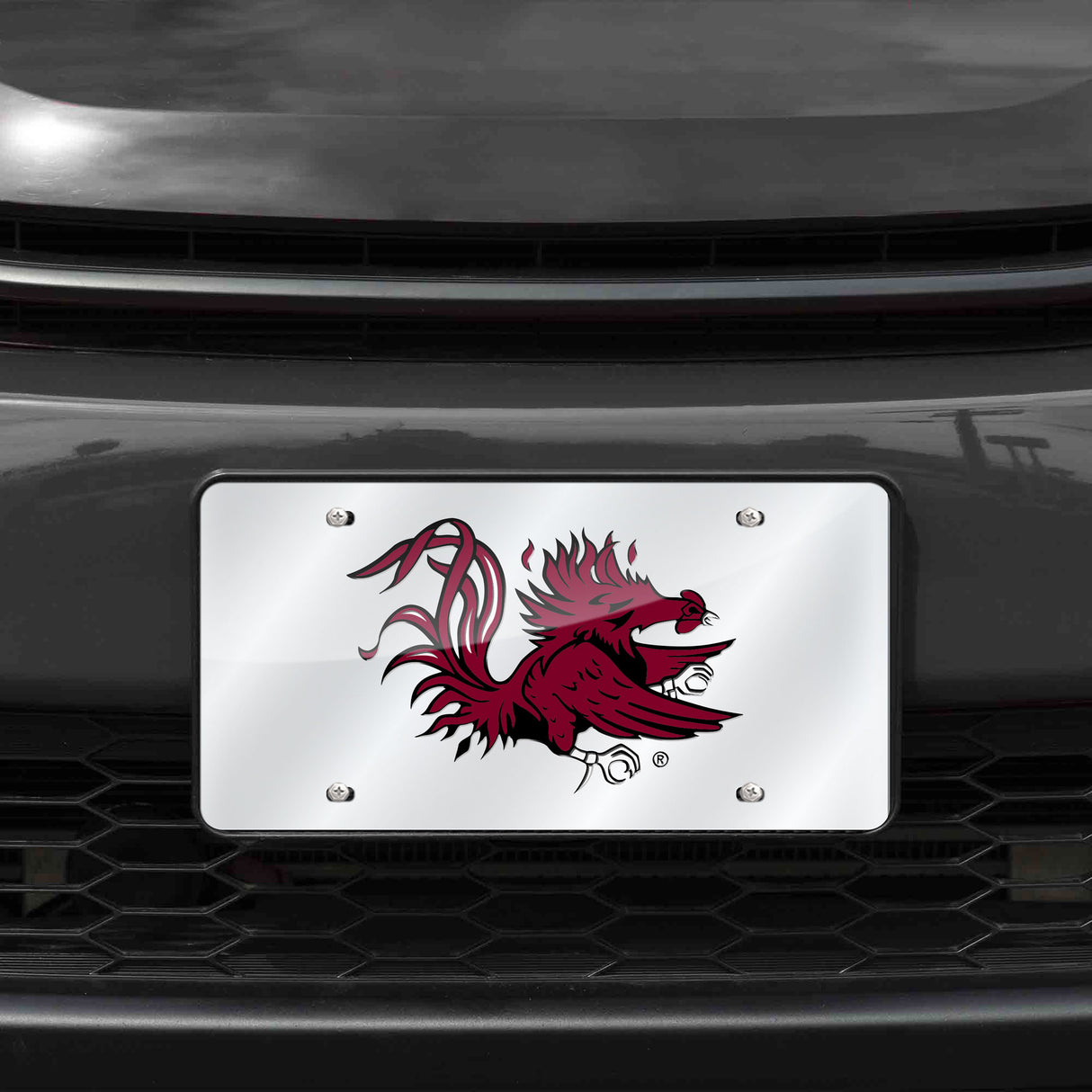 NCAA South Carolina Gamecocks Silver Laser Cut Automobile Tag Fan Gear NCAA South Carolina Gamecocks
