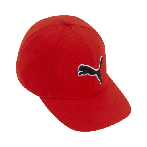 Puma Evercat Dillon 2.0 Stretch Fit Cap-2