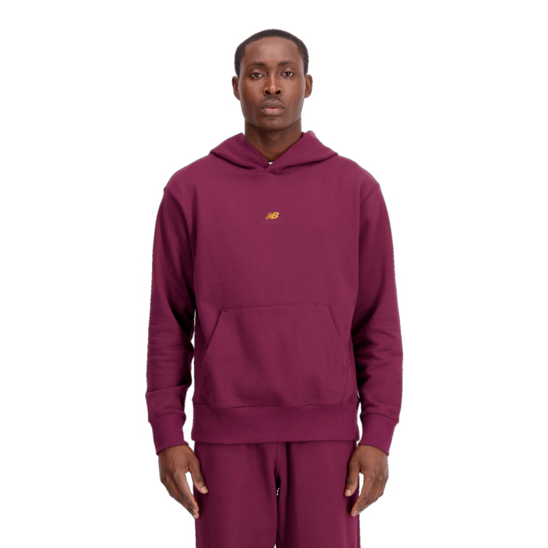New Balance Men's Sport Essentials Premium Terry Hoodie Mens Apparel Sweatshirts & Fleece