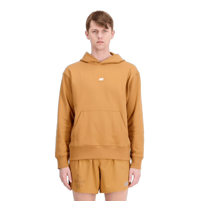 New Balance Men's Sport Essentials Premium Terry Hoodie Mens Apparel Sweatshirts & Fleece